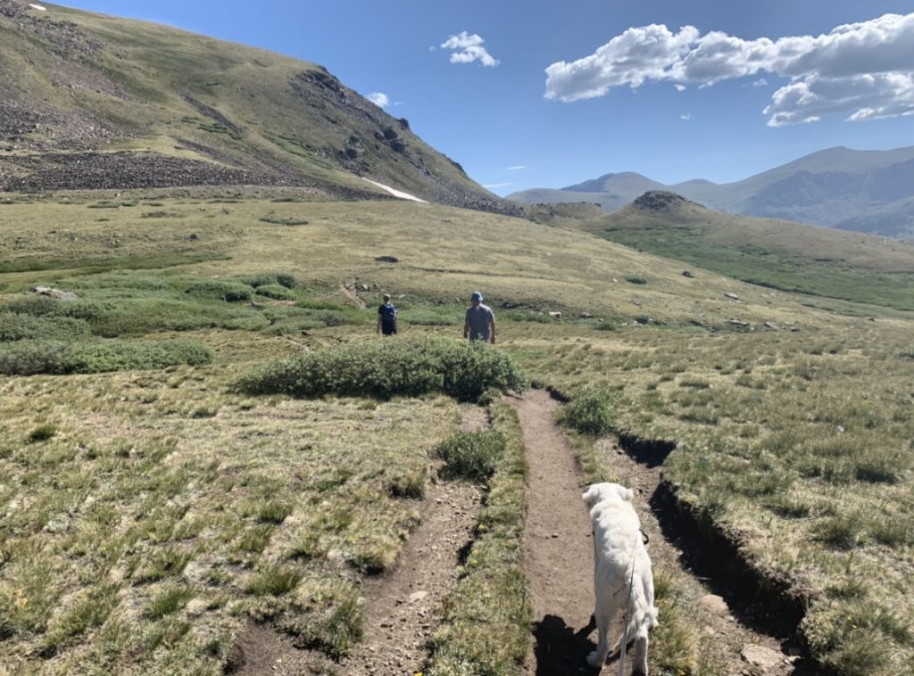 Square Top Mountain - great day hike near Denver