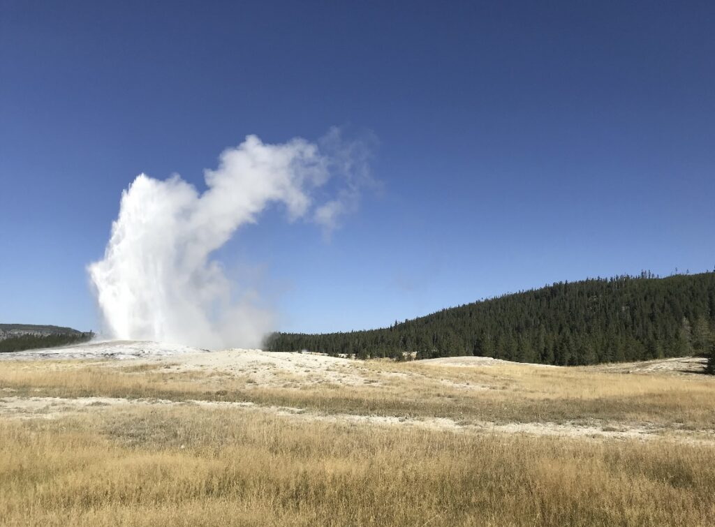 old faithful