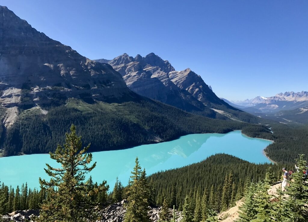 Peyto Lake in Banff