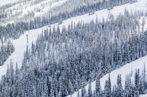 skiing in colorado